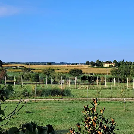 Alojamento de Acomodação e Pequeno-almoço Da Robertino Tricesimo