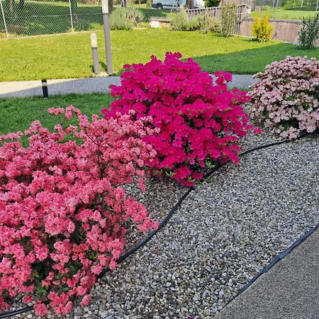 Bed & Breakfast Da Robertino *
