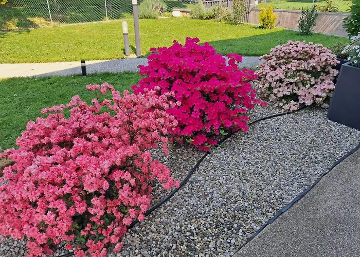 Panzió Da Robertino *